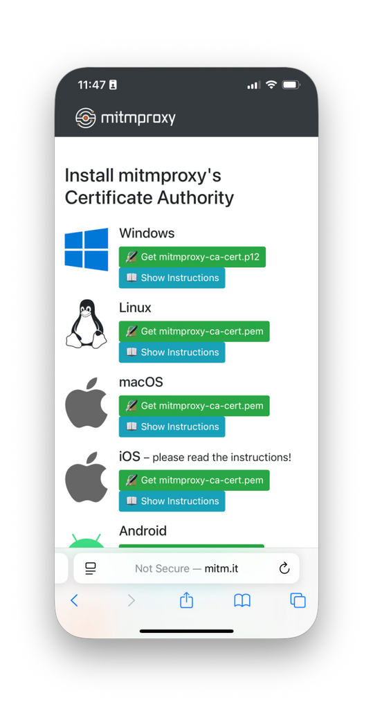 Screenshot: iPhone Safari mitm.it