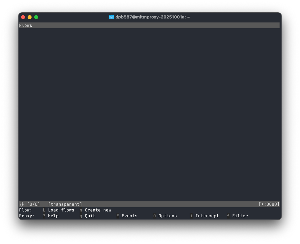 mitmproxy TUI - Empty State