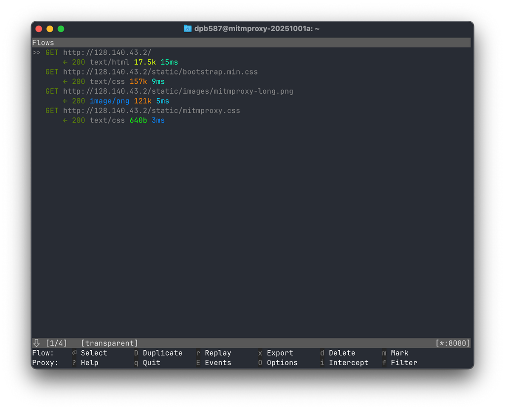 mitmproxy TUI - First Requests