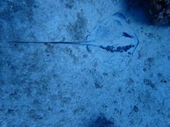 IMG_2653.JPG