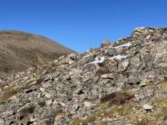 IMG_1726.HEIC
