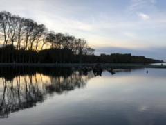 IMG_3968.HEIC