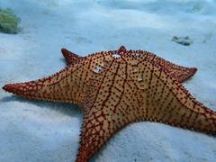 IMG_2621.JPG