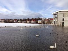 IMG_0473.JPG
