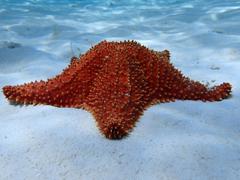 IMG_2624.JPG