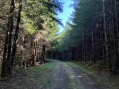 IMG_3605.HEIC