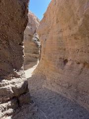 IMG_7972.HEIC