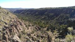 Blurred background of IMAG2366.jpg