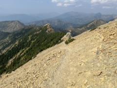 IMG_4605.HEIC
