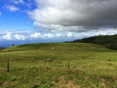 IMG_1815.JPG