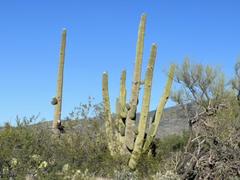 IMG_7932.HEIC