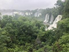IMG_9922.HEIC