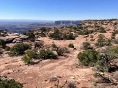 IMG_8981.HEIC