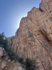 IMG_7513.HEIC