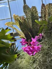 IMG_2972.HEIC