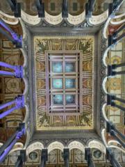 IMG_3001.HEIC