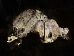 IMG_0933.HEIC