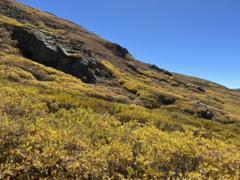 IMG_1846.HEIC