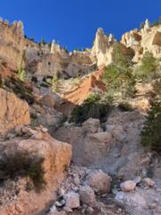 IMG_0992.HEIC