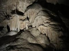 IMG_0938.HEIC