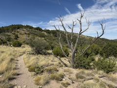 IMG_0863.HEIC