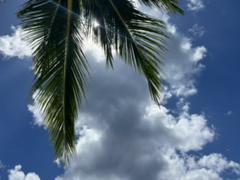 IMG_2427.HEIC