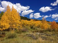 IMG_1016.JPG