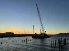 IMG_3745.HEIC