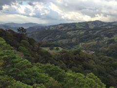 IMG_2227.JPG
