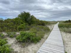 IMG_3672.HEIC