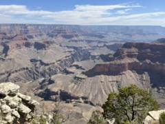 IMG_2069.HEIC