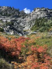 IMG_5325.HEIC