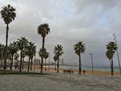 IMG_1643.JPG