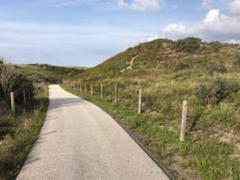 IMG_7524.HEIC