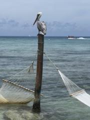 IMG_2425.HEIC