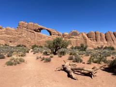 IMG_8821.HEIC