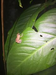 IMG_1948.JPG