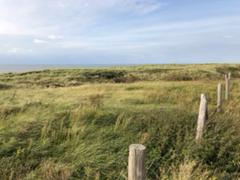 IMG_7526.HEIC