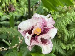 IMG_3842.HEIC