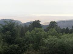 IMG_2675.HEIC