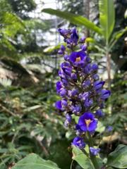 IMG_2966.HEIC