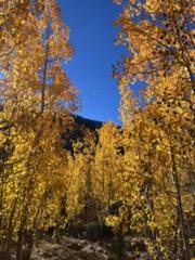 IMG_5585.HEIC
