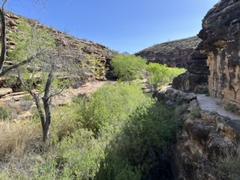 IMG_7394.HEIC
