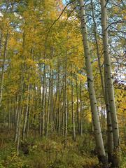 IMG_0998.JPG