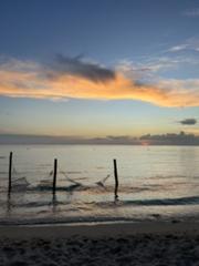IMG_2418.HEIC