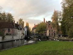 IMG_2854.HEIC