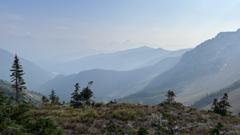 IMG_4551.HEIC