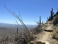 IMG_7886.HEIC