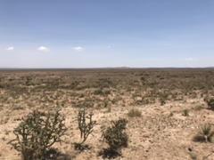 Southern New Mexico