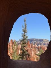 IMG_1009.HEIC